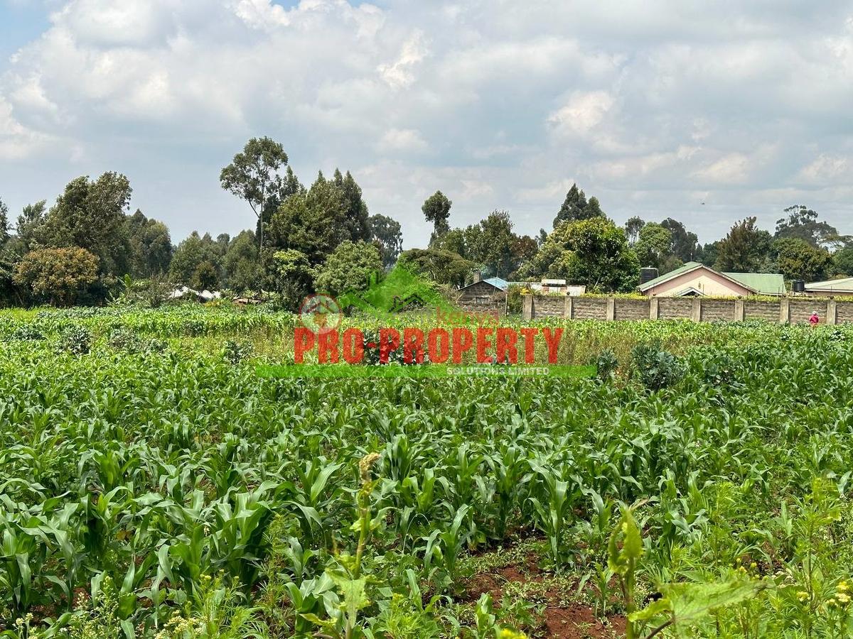 0.4 ha Land at Tilisi - 6