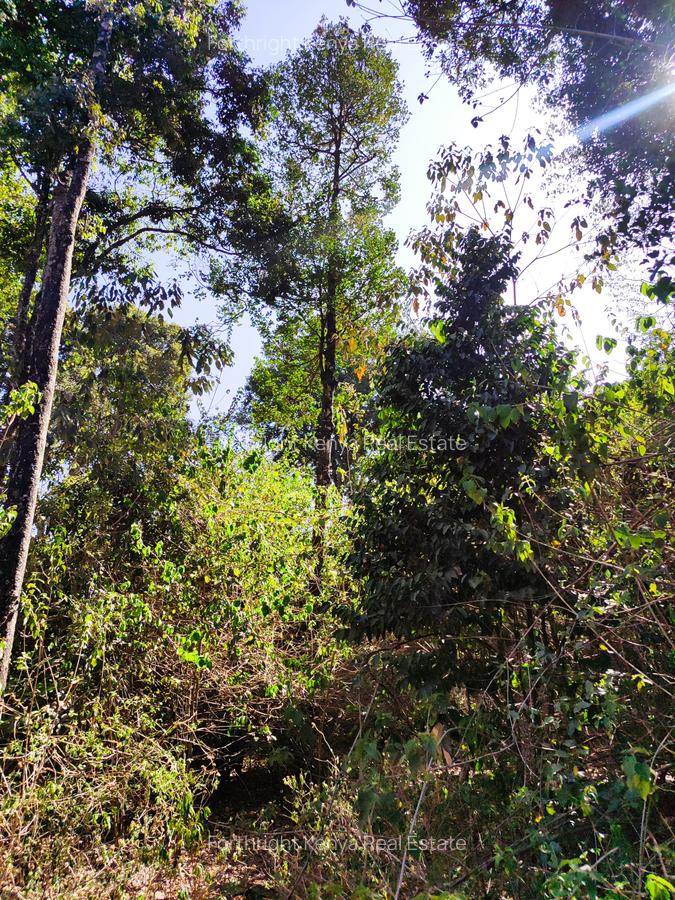 2.3 ac Land at Giraffe Centre - 17