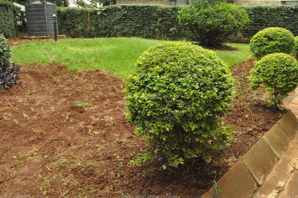 5 Bed House with En Suite in Nyari - 2