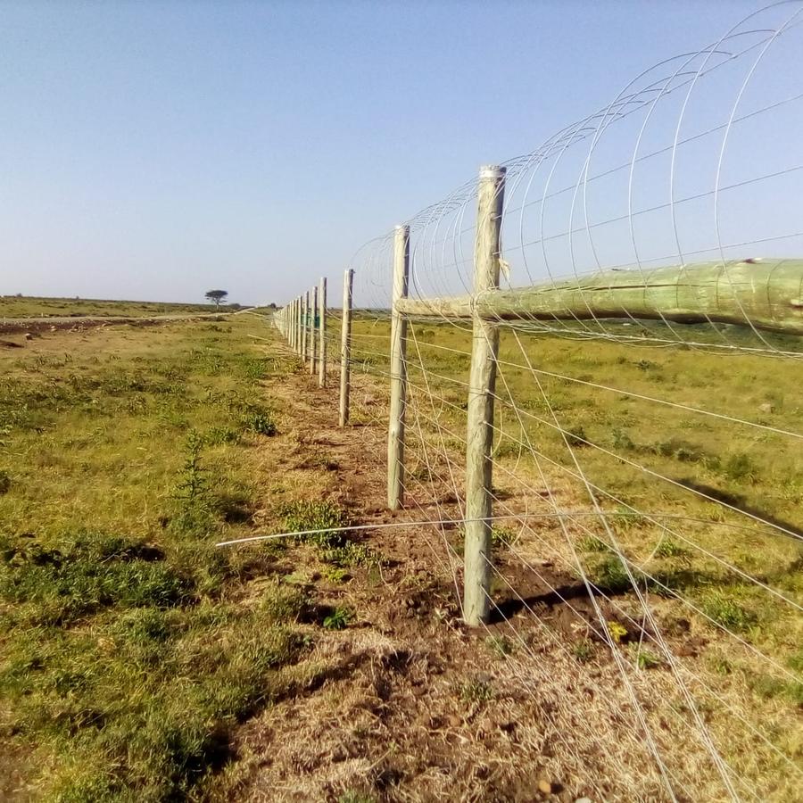 57 ac Land in Nanyuki - 13