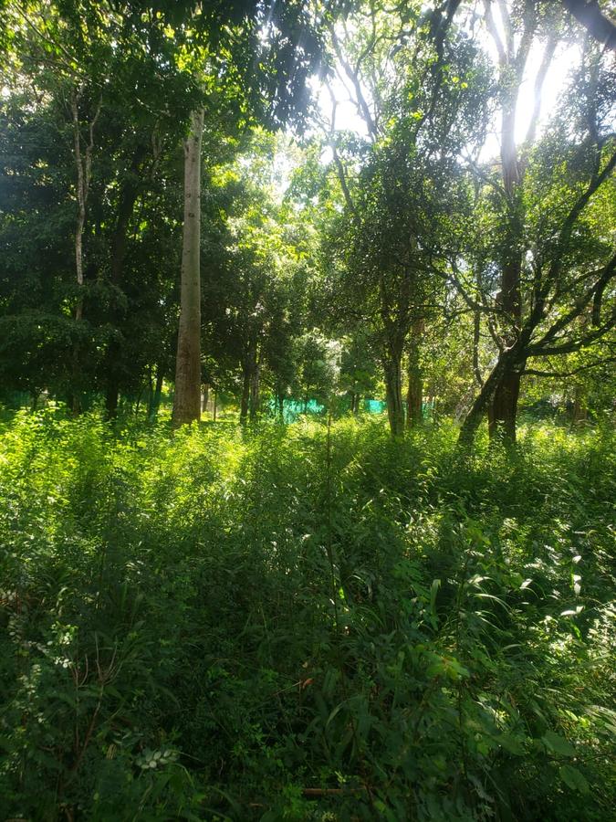 0.5 ac Land in Karen - 1