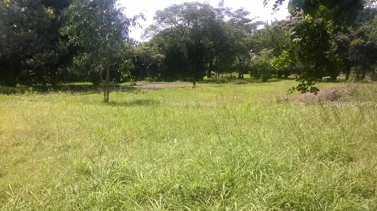Land in Upper Hill - 6