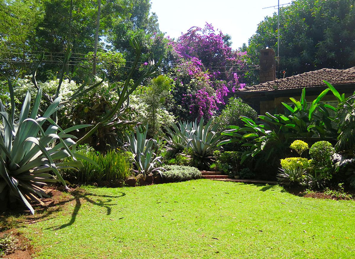 4 Bed House with Staff Quarters in Lavington - 3