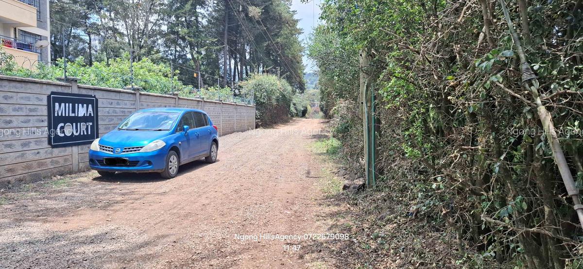 2 Bed Apartment with En Suite in Ngong - 16