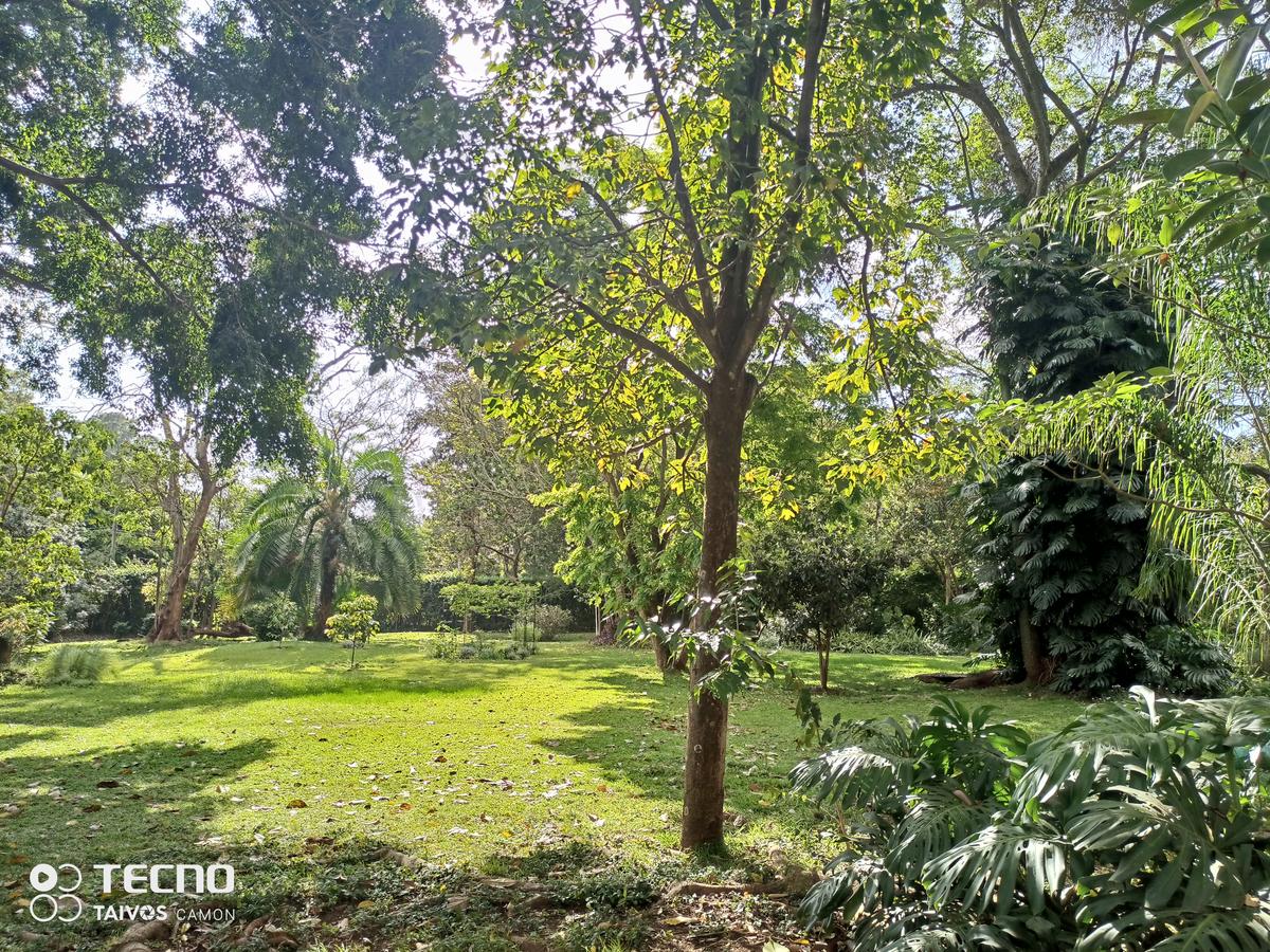 0.5 ac Residential Land at Runda Ridge - 6