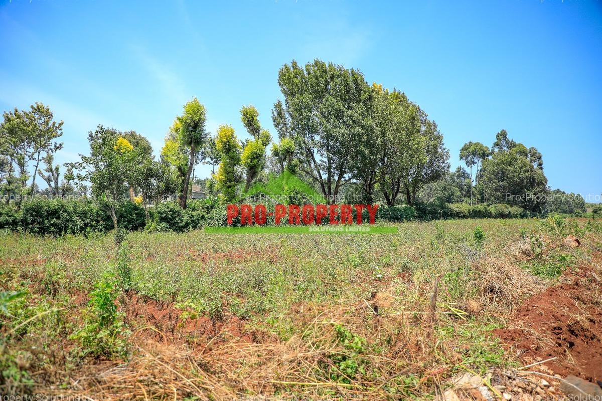 0.05 ha Residential Land at Ondiri - 3