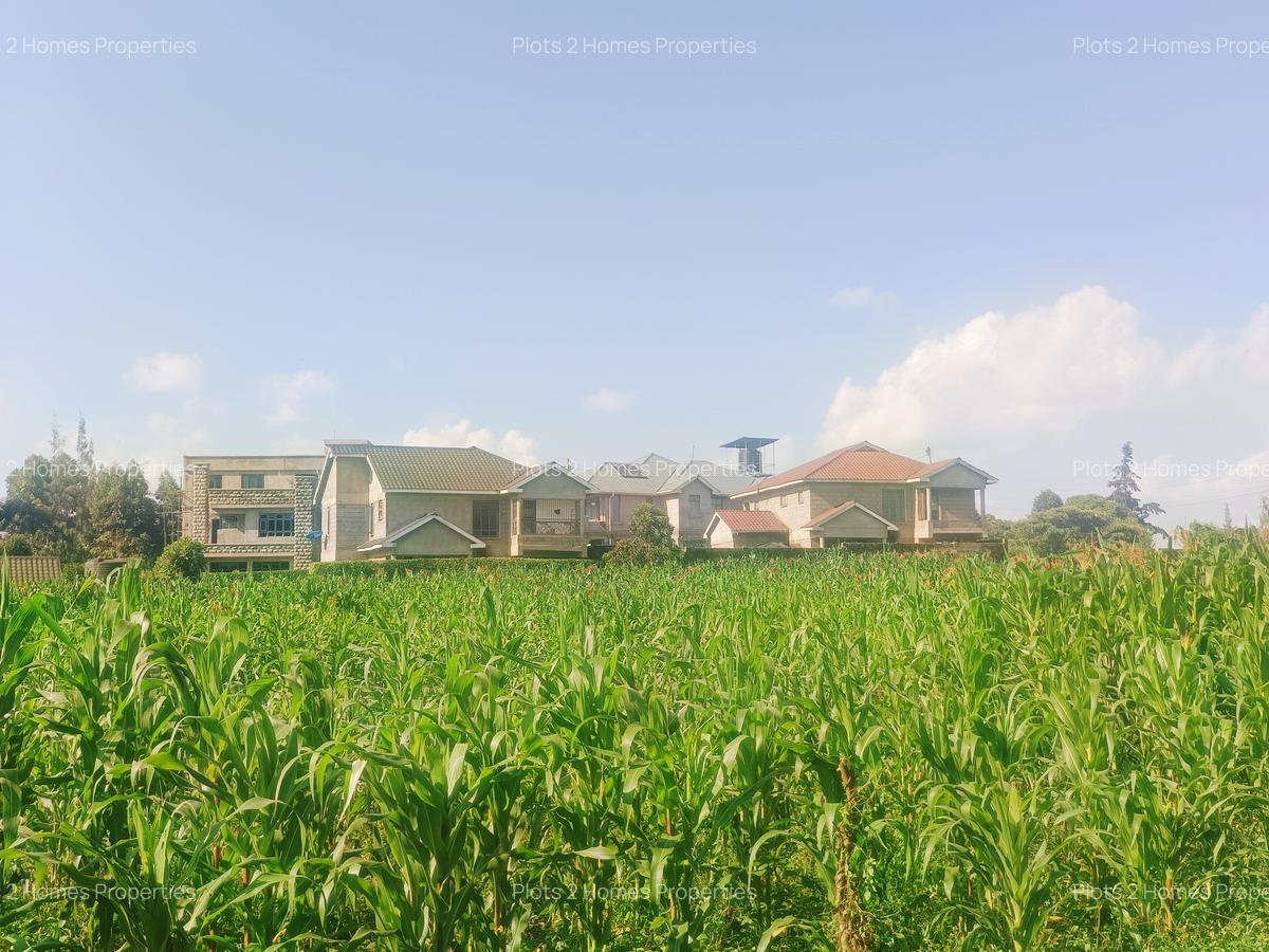 1,000 m² Residential Land at Riu-Nderi - 14