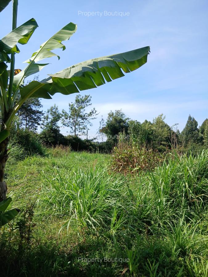 2 ac Land in Kikuyu Town - 2