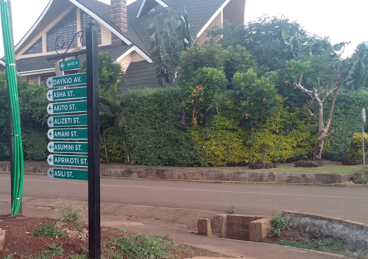 Residential Land in Ruiru - 1