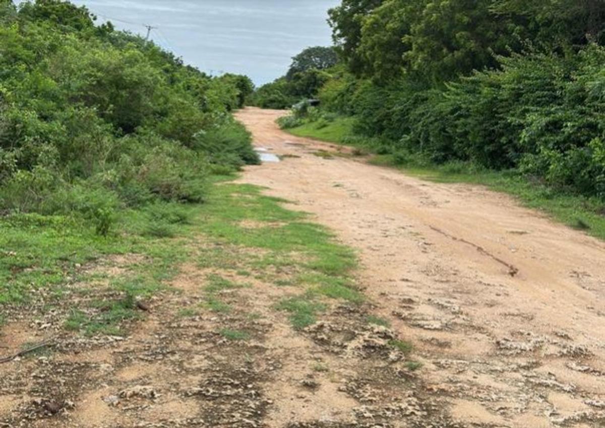 0.125 ac Land in Diani - 1