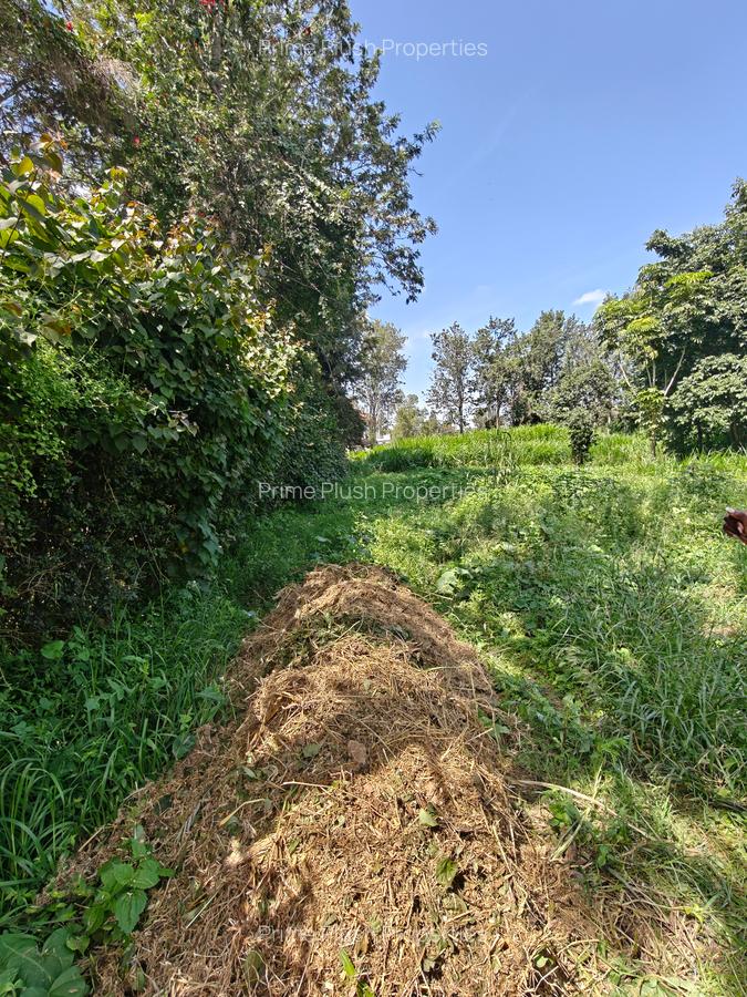 1.1 ac Land in Karen - 11