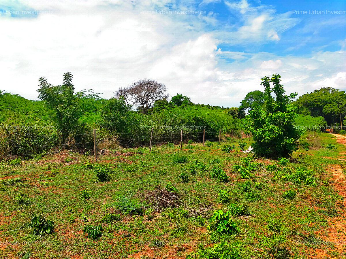 16,187.44 m² Land at Kilifi Bofa Beach Road - 10