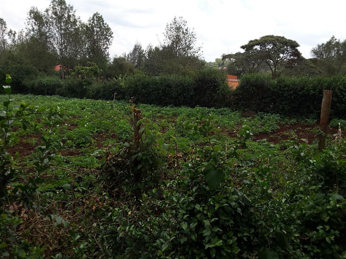 0.25 ac Residential Land in Ngong - 2