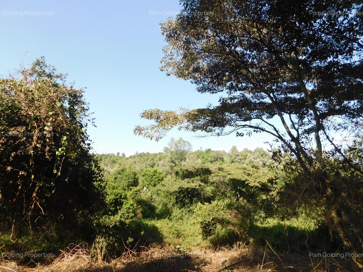 Residential Land in Karen Hardy - 2