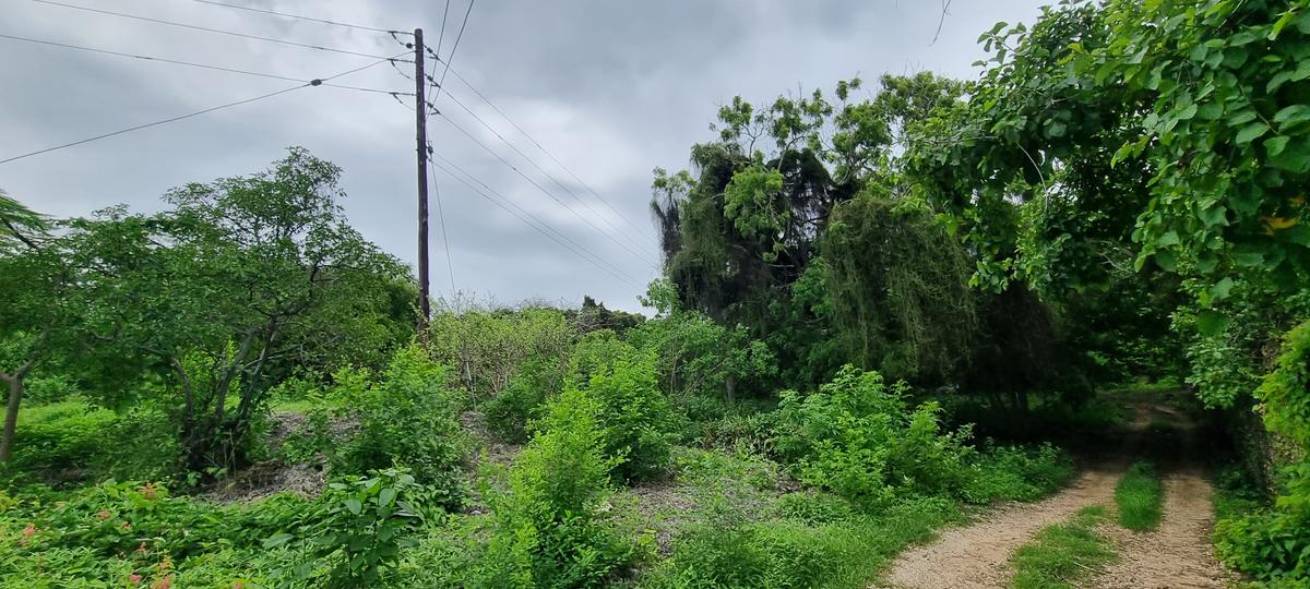 15 ac Land at Kuruwitu - 9