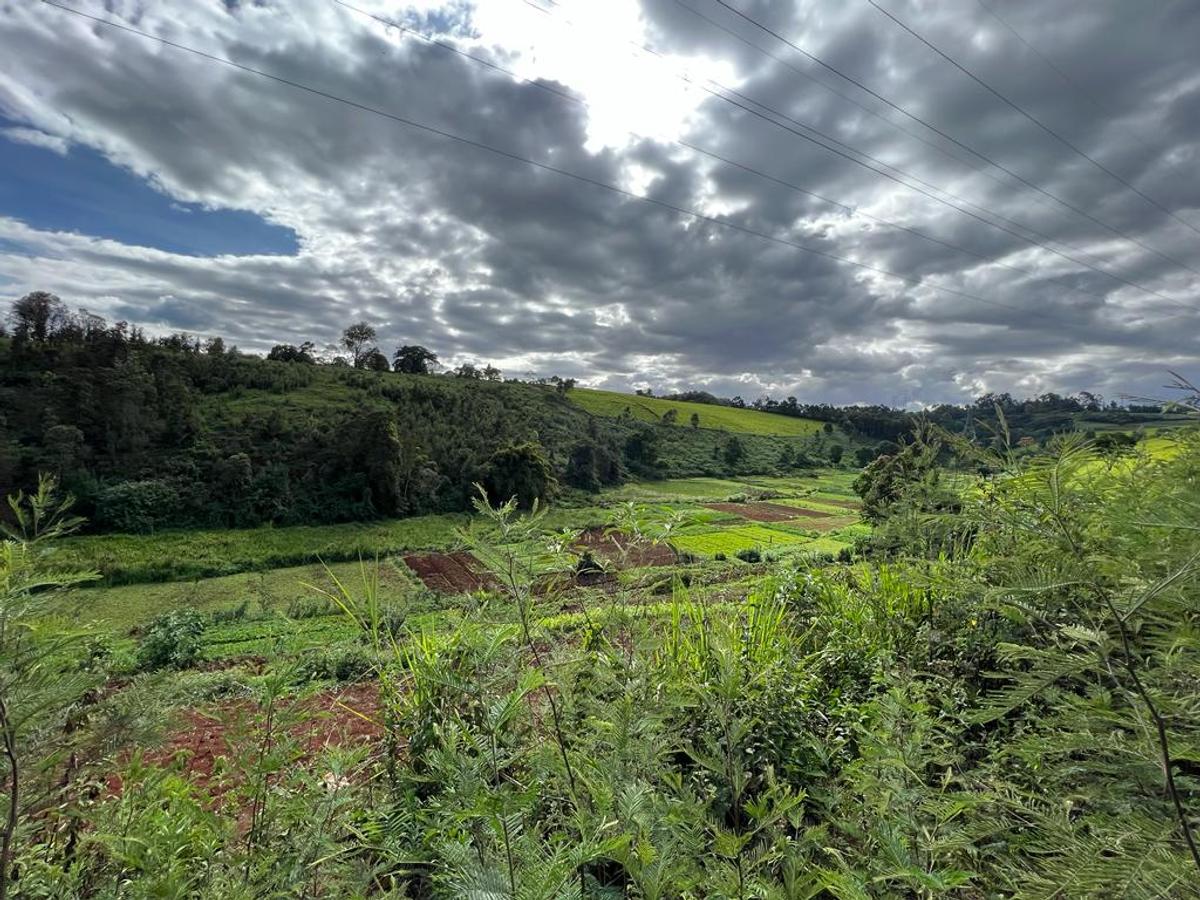Land in Tigoni - 1