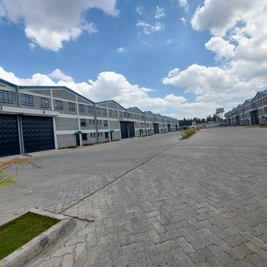 700 ft² Warehouse with Backup Generator at Babadogo - 4