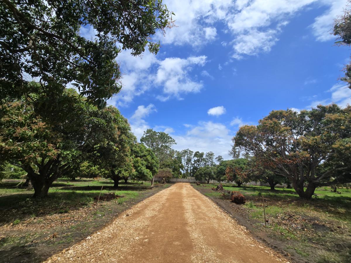 Land at Mombasa Malindi Highway - 6