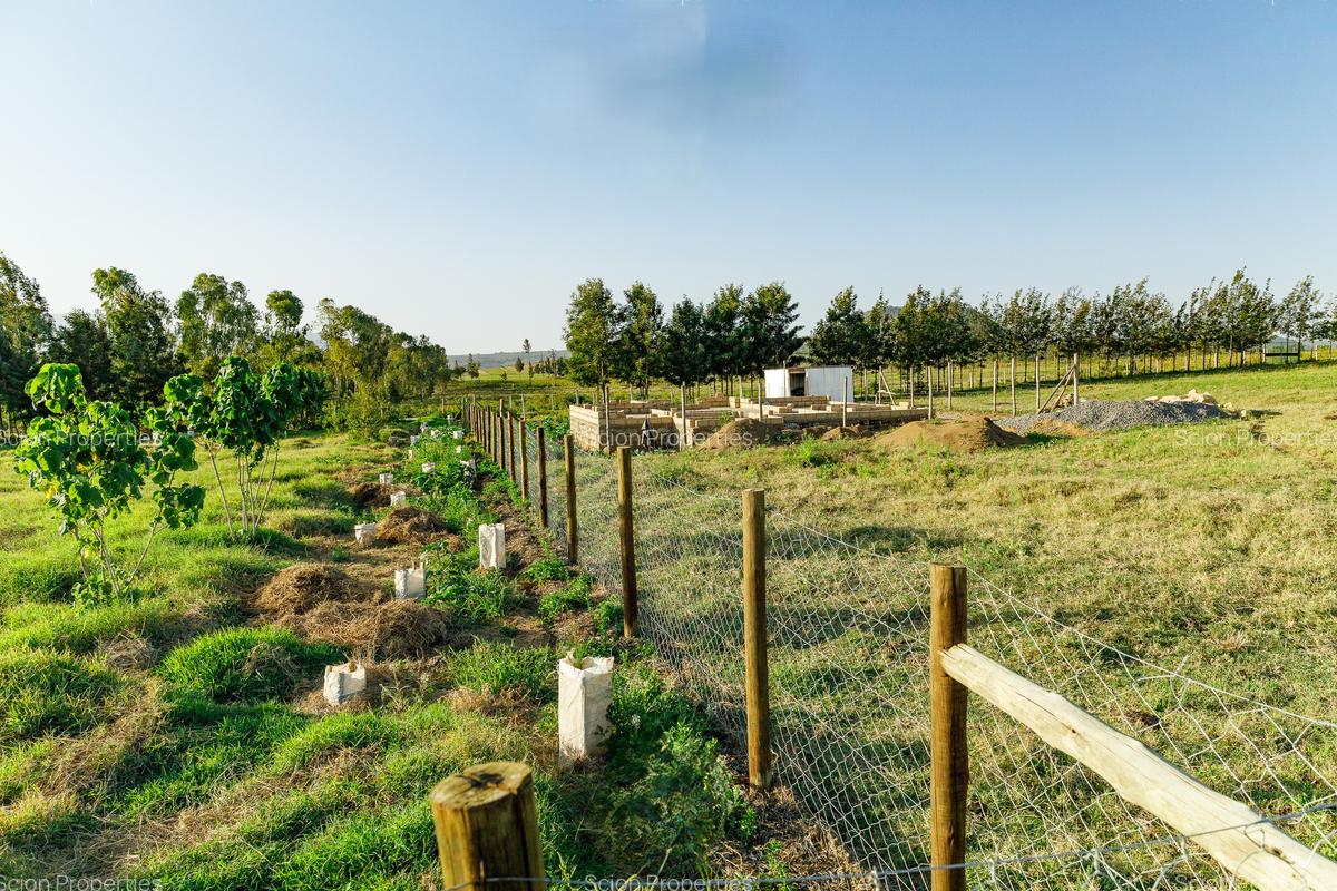 0.125 ac Residential Land in Naivasha - 2