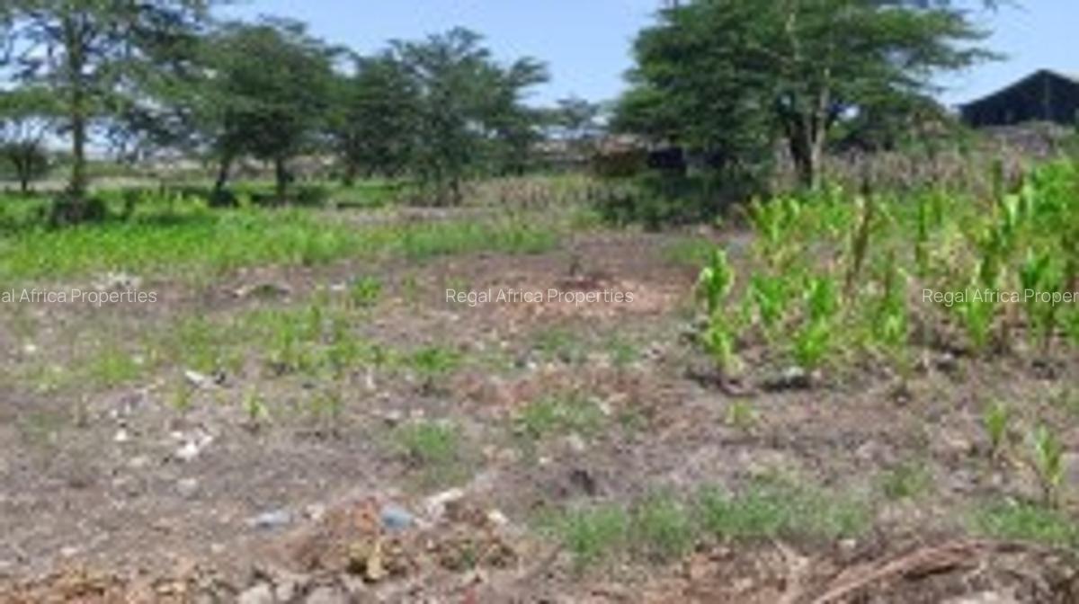 5 ac Land at South B - 3