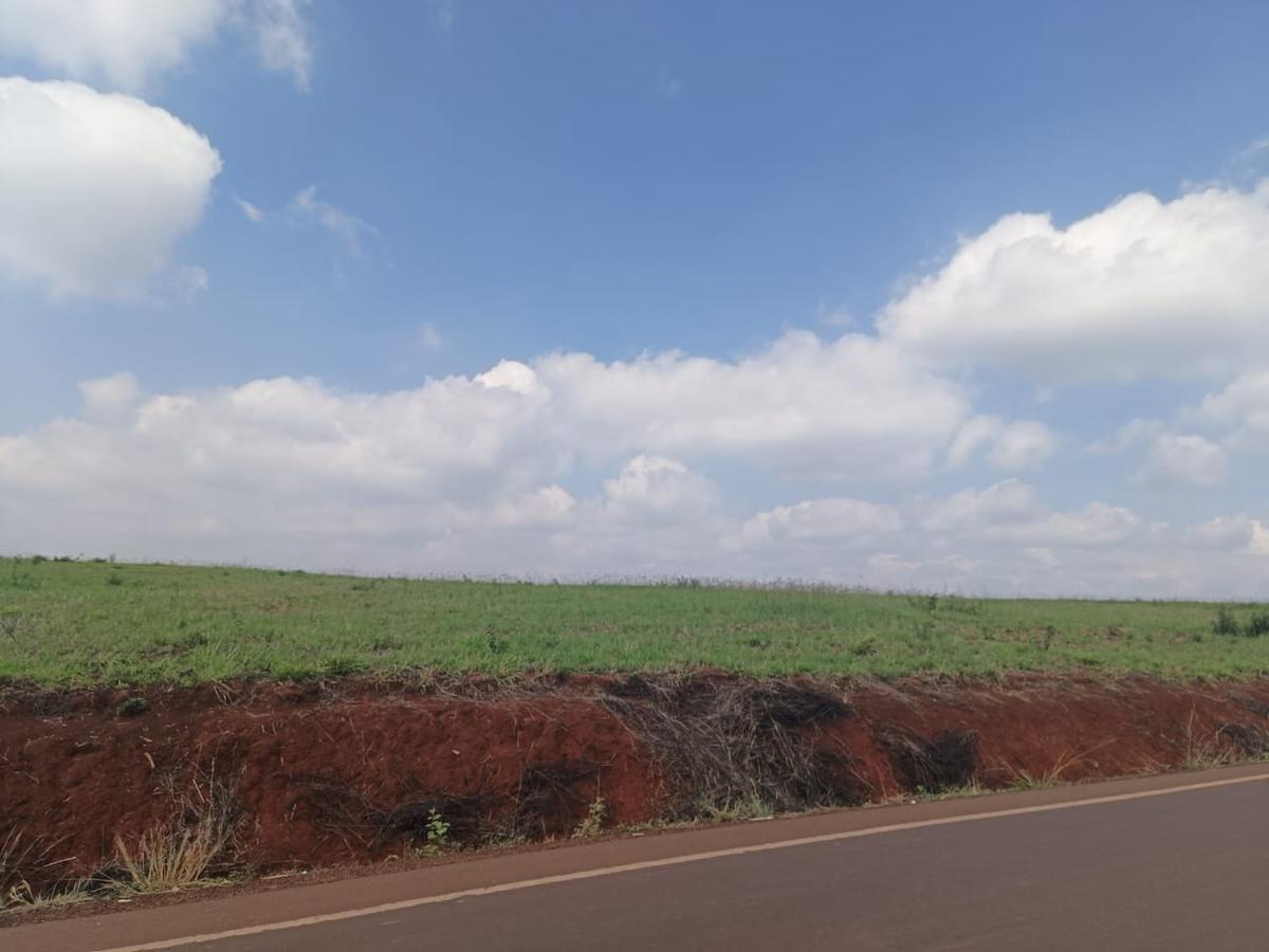 5 ac Land at Near Tatu City - 9