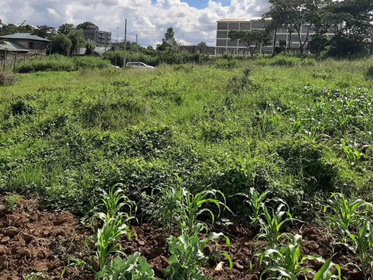 2,024 m² Land in Ruiru - 1