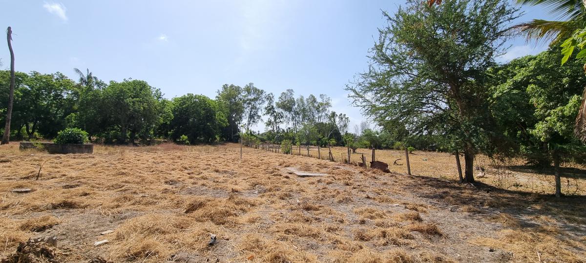 6 ac Land at Animo Mtwapa - 6