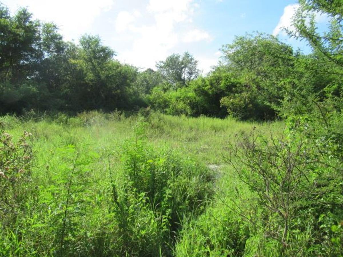 506 m² Residential Land at Malindi Road - 9