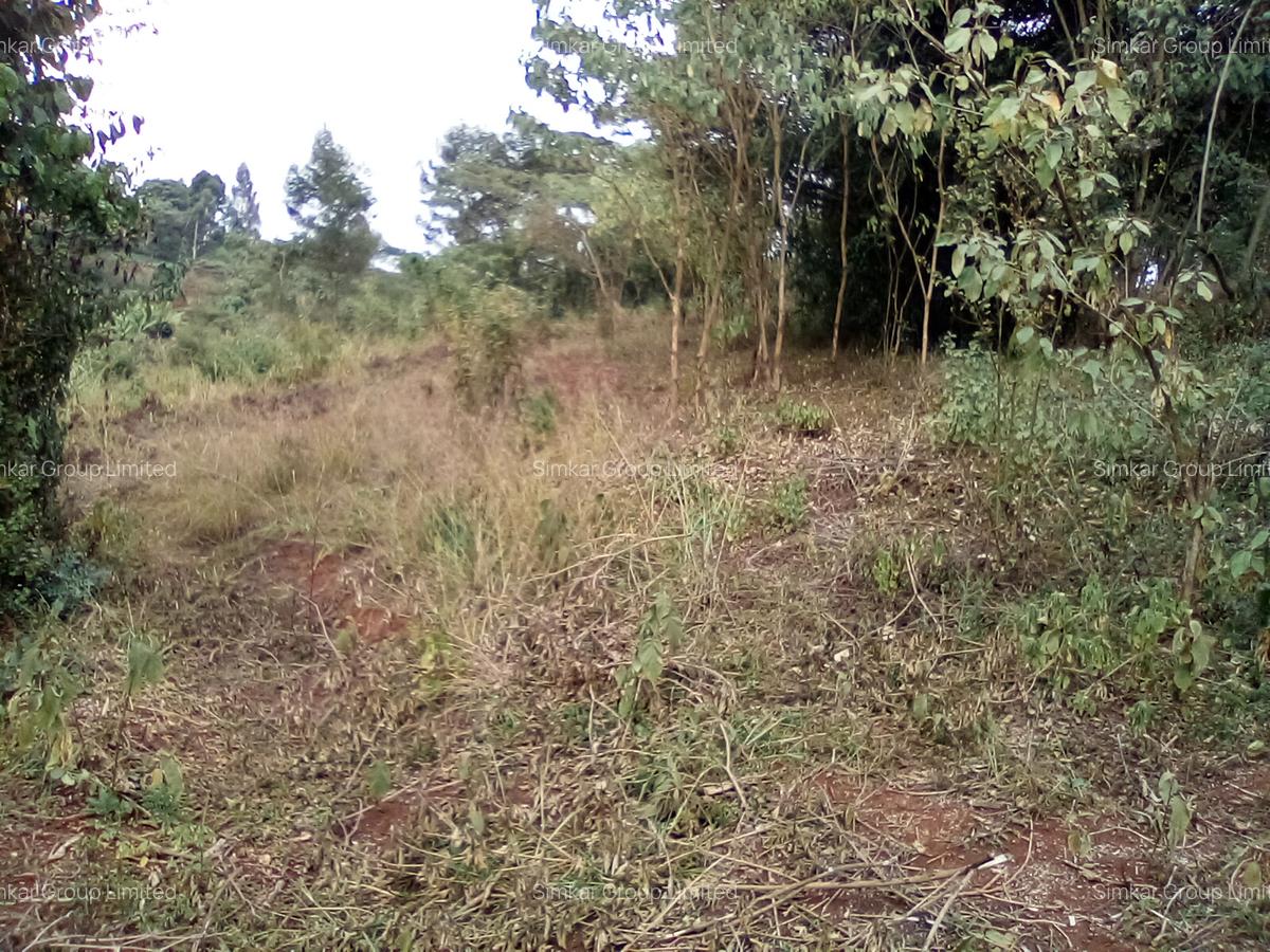 Land at Wangige - 3