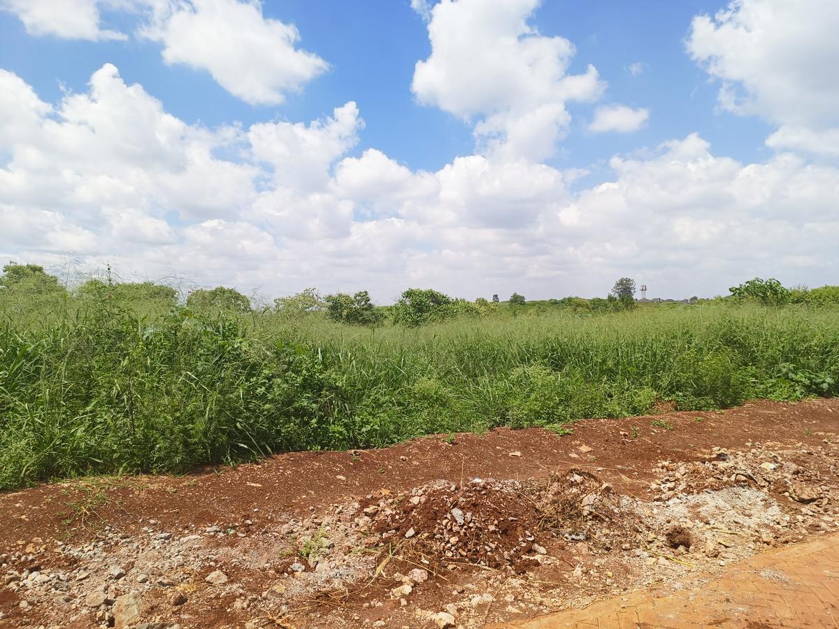 25 ac Land at Off Paradise Lost Road - 7