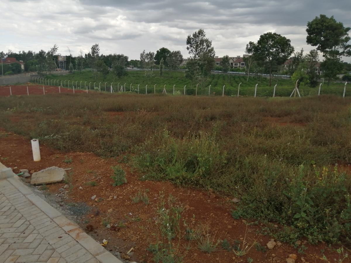 0.5 ac Residential Land at Runda Mumwe - 6