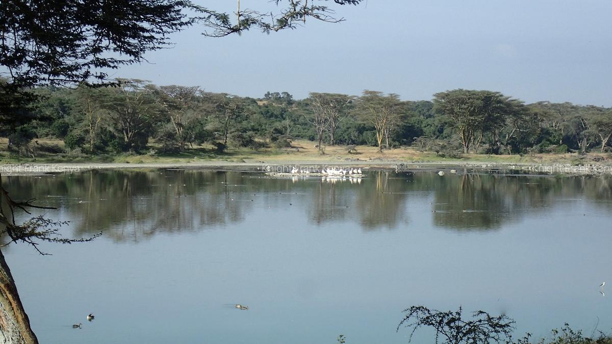 5 ac Land at Sangare Conservancy - 5