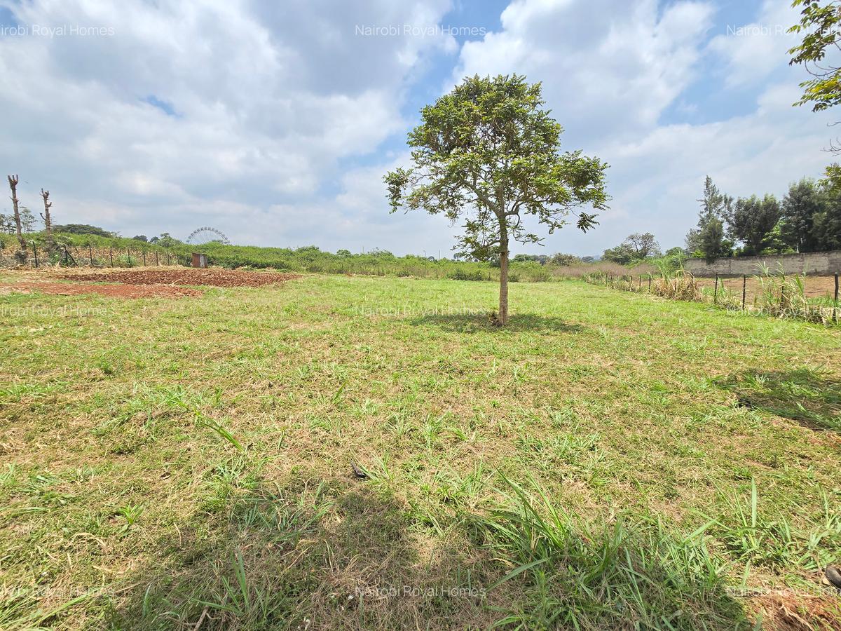 Residential Land at Runda Garden - 7