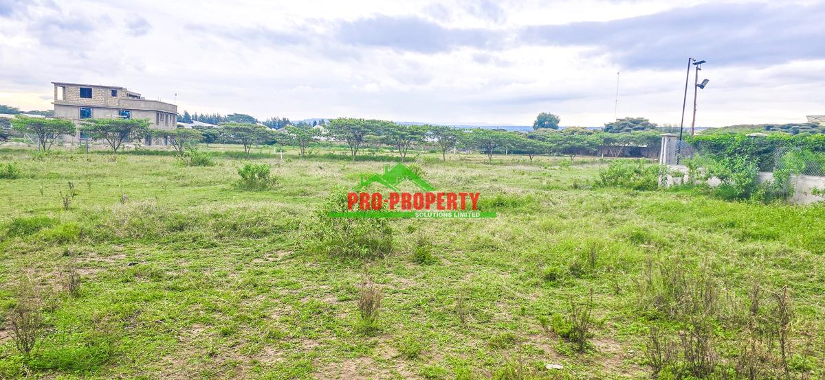 0.05 ha Residential Land in Naivasha - 4