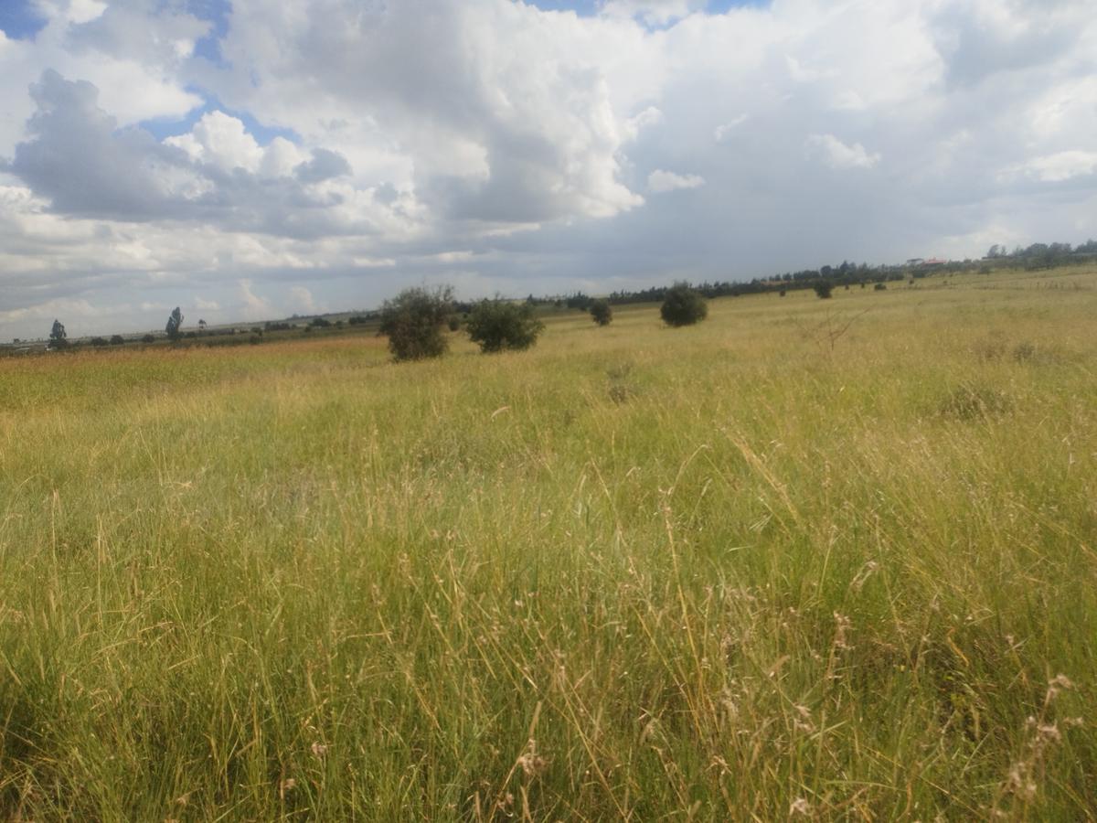 10 ac Land at Kiserian-Isinya Road - 11