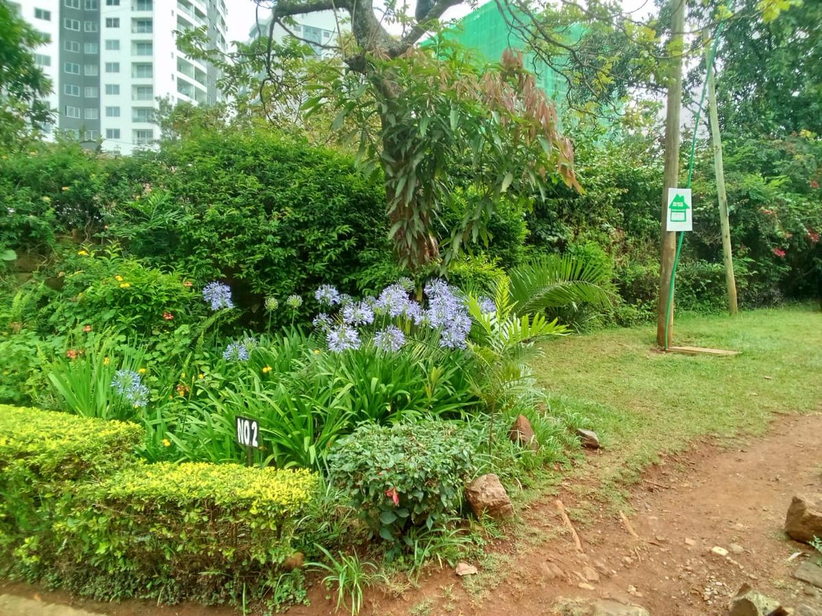 0.5 ac Commercial Property with Service Charge Included in Lavington - 14