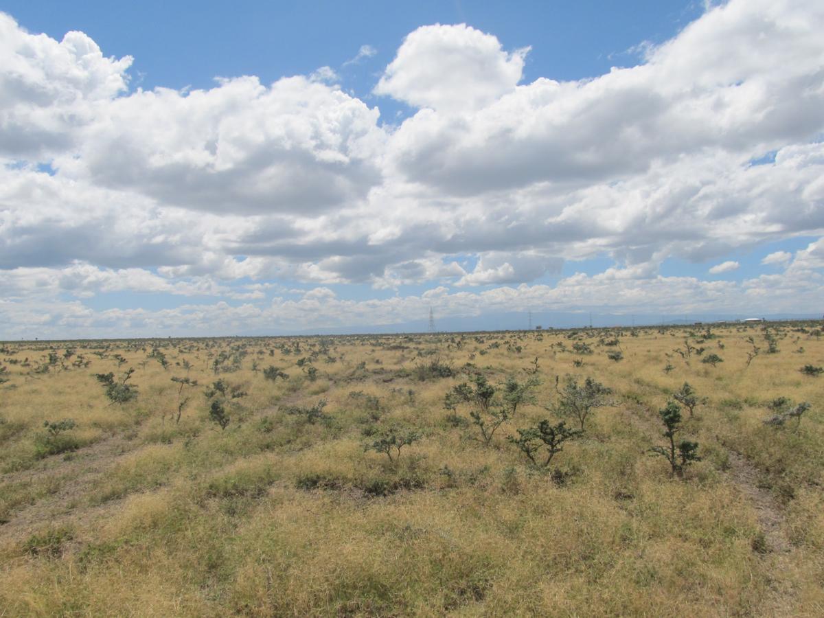 11.5 ac Land at Kariunga - 3