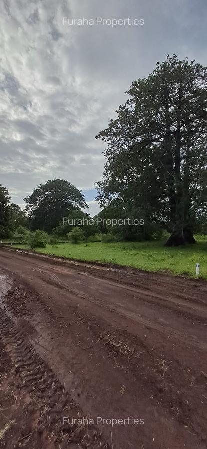 Land in Vipingo - 14