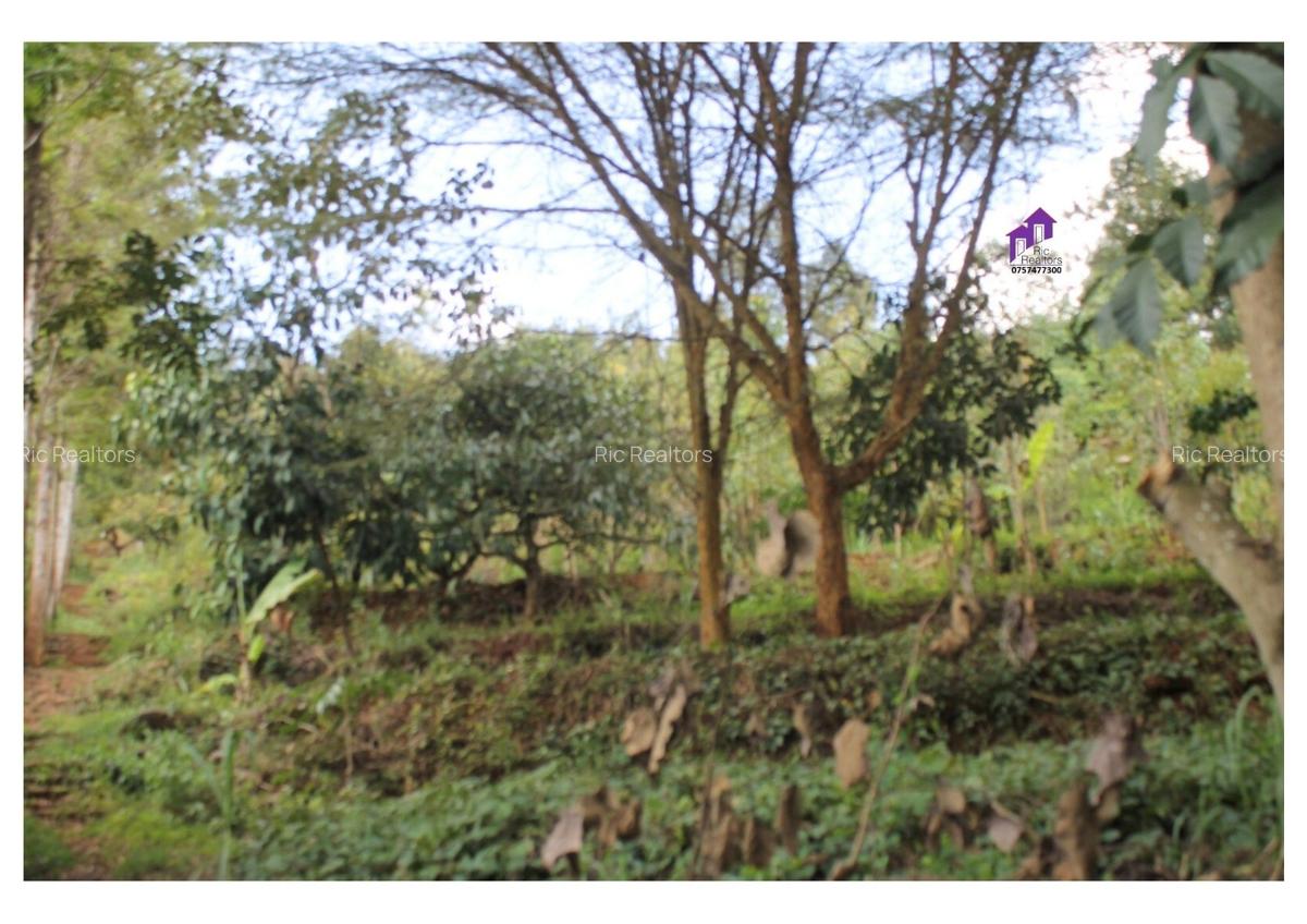 3.5 ac Land at Karinde Road - 12
