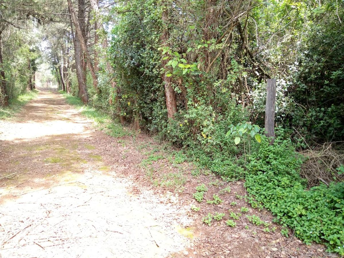 1 ac Land in Karen - 4