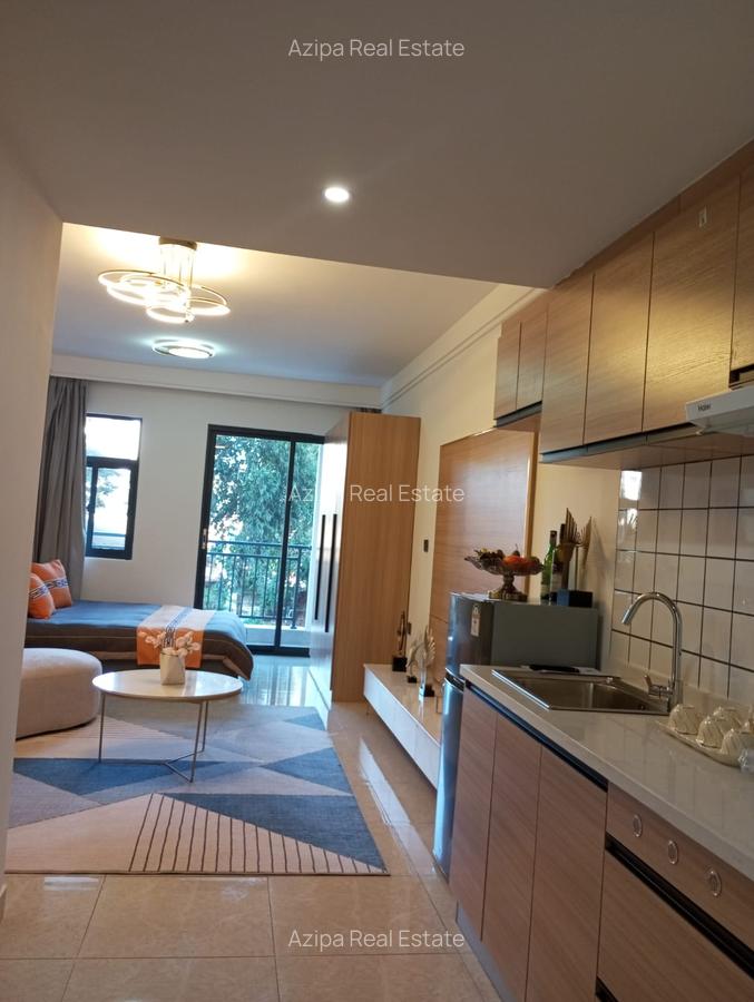 Studio Apartment with Swimming Pool in Ruaka - 4