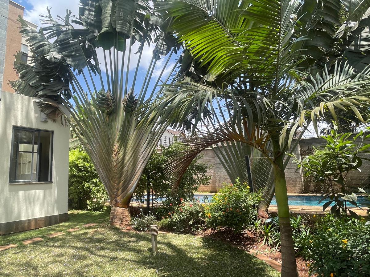 5 Bed Villa with En Suite in Lavington - 6