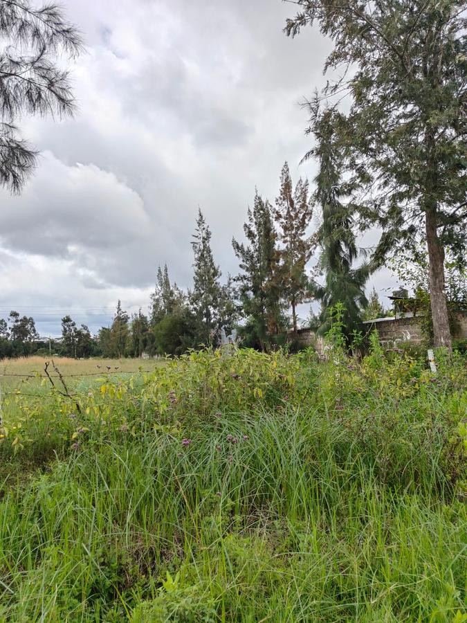 5 ac Land at Karen C