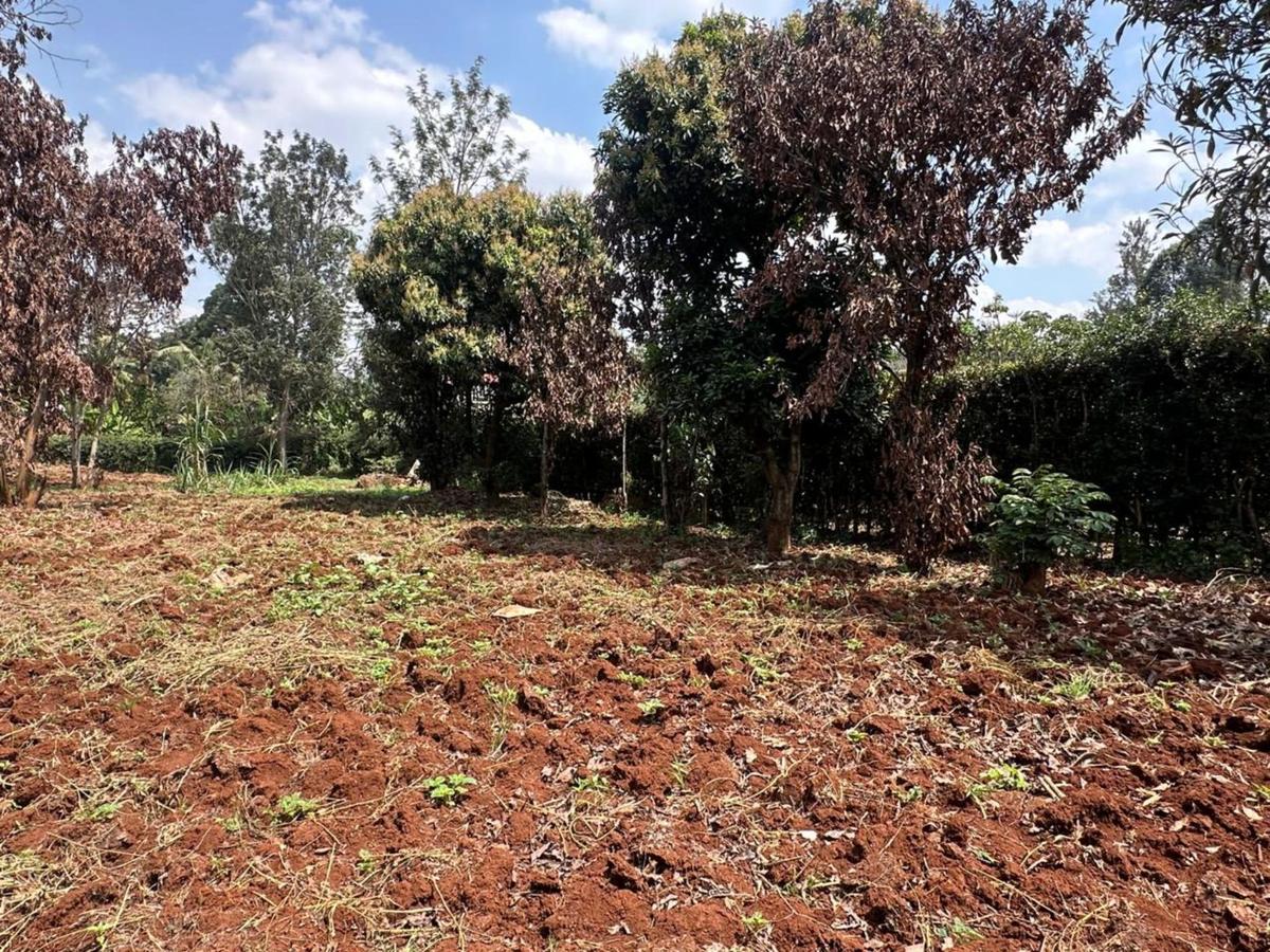 0.5 ac Residential Land at Muthithi Estate - 2