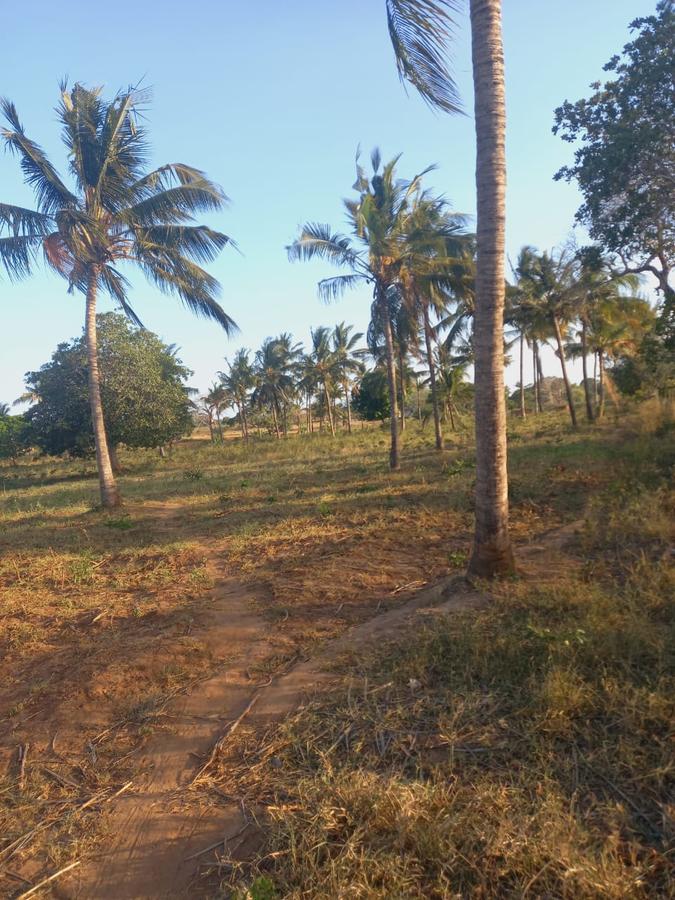 Land at Mavueni Kaloleni Road - 4