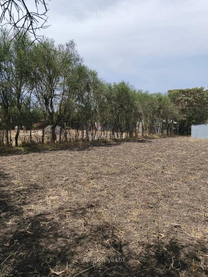 0.25 ac Land in Ruai - 11