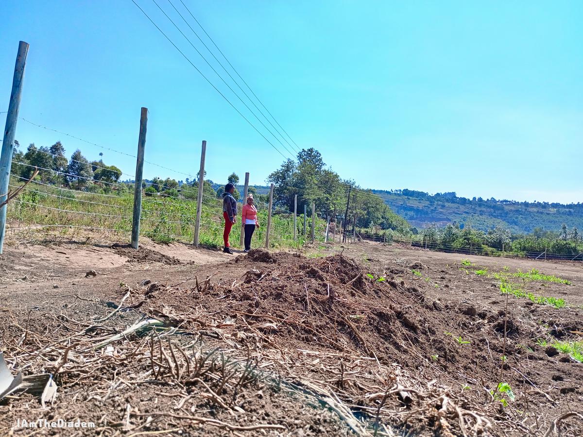 0.0463 ha Residential Land at Kikuyu - 7