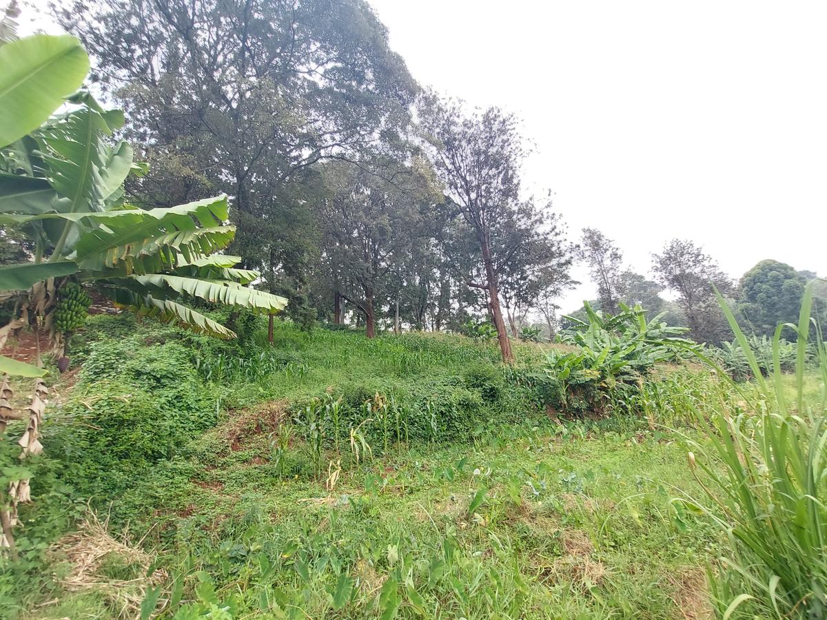 Residential Land at Kitisuru Ridge 44 - 2