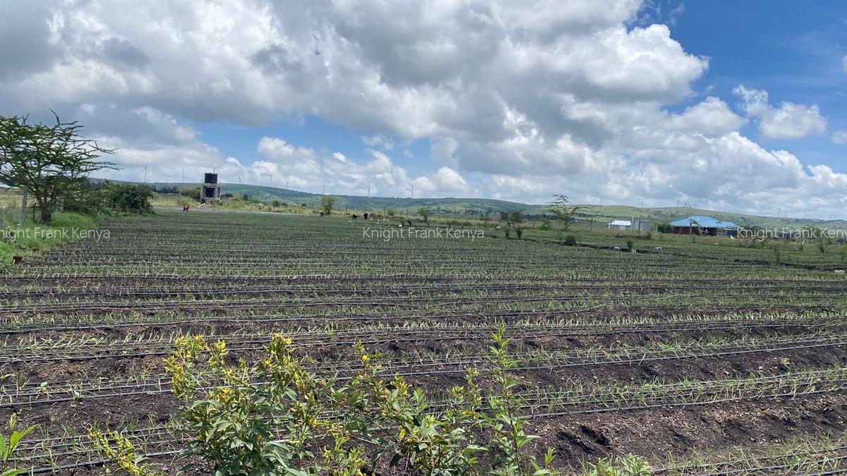 4 Bed House with En Suite in Ngong - 11