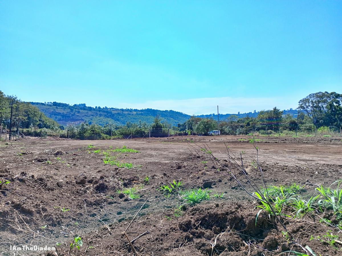 0.1 ac Residential Land at Kikuyu - 6